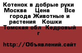 Котенок в добрые руки. Москва. › Цена ­ 5 - Все города Животные и растения » Кошки   . Томская обл.,Кедровый г.